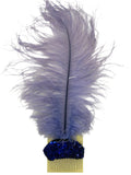Feather Headpiece