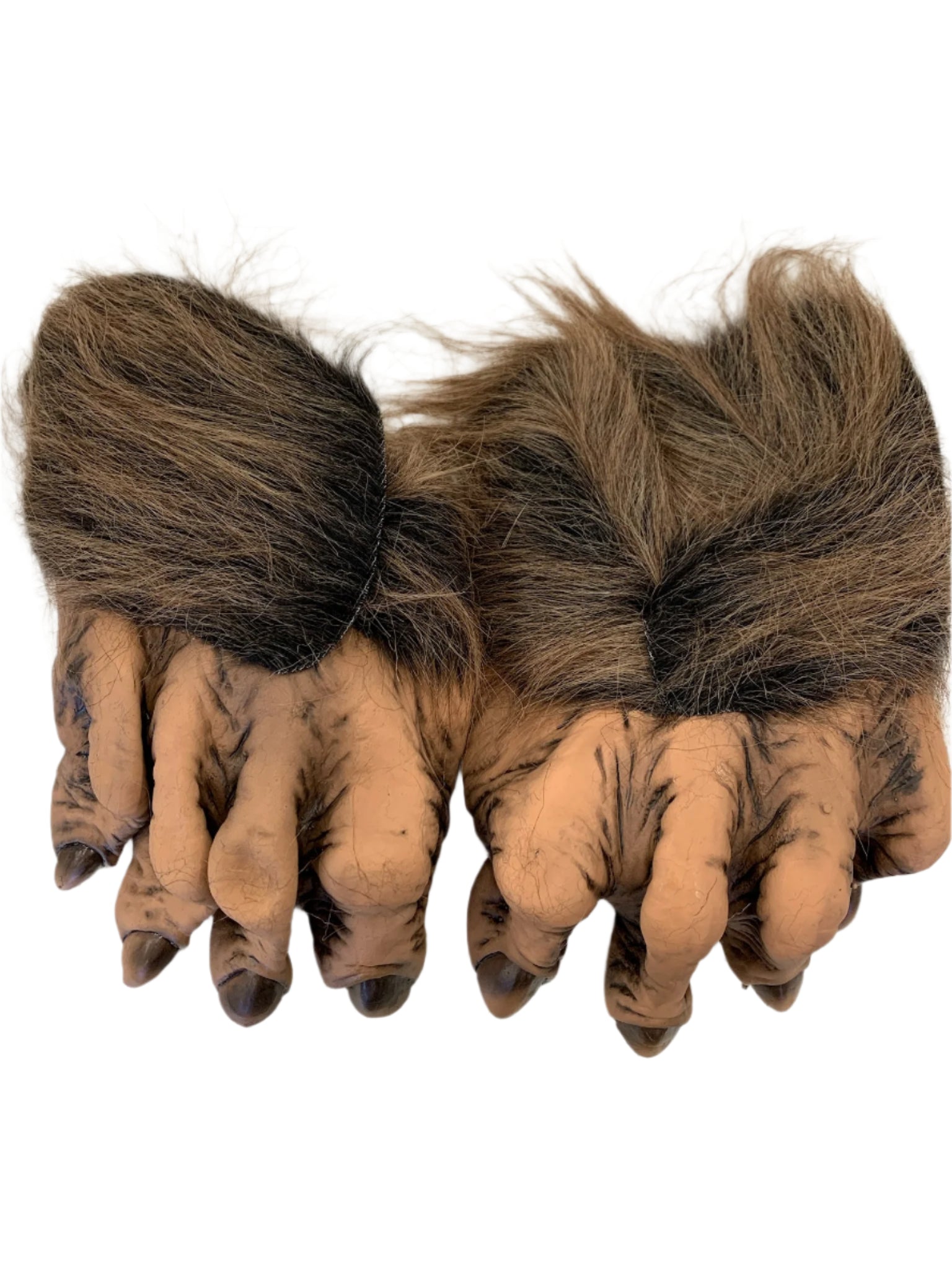 Werewolf Feet