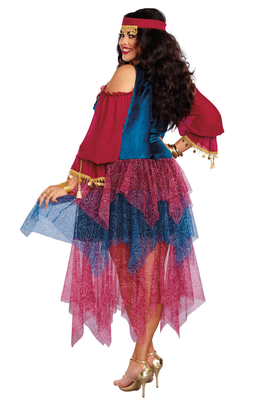 Plus Size Gypsy Costume
