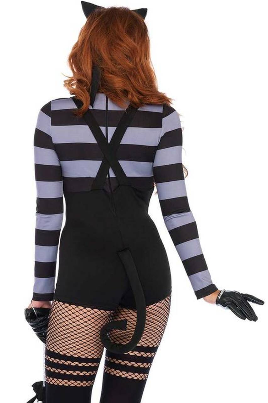Sexy Cat Burglar Costume